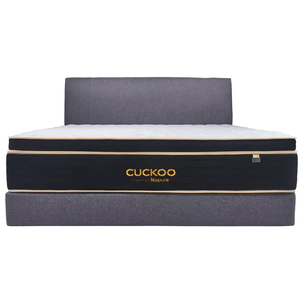 Tilam Cuckoo A-Luxe